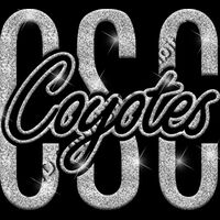 GLT95 SILVER GLITTER Thumbnail