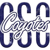 GLT95 BLUE GLITTER Thumbnail